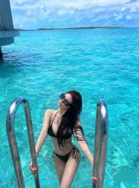 台中定點茶-飛燕：圖片 7