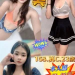 新北定點茶-華美