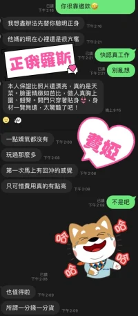 台中定點茶-費婭：圖片 5