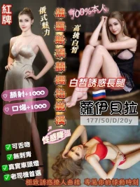 桃園定點茶-蘿伊貝拉