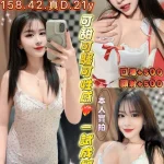 桃園定點茶-許心藍