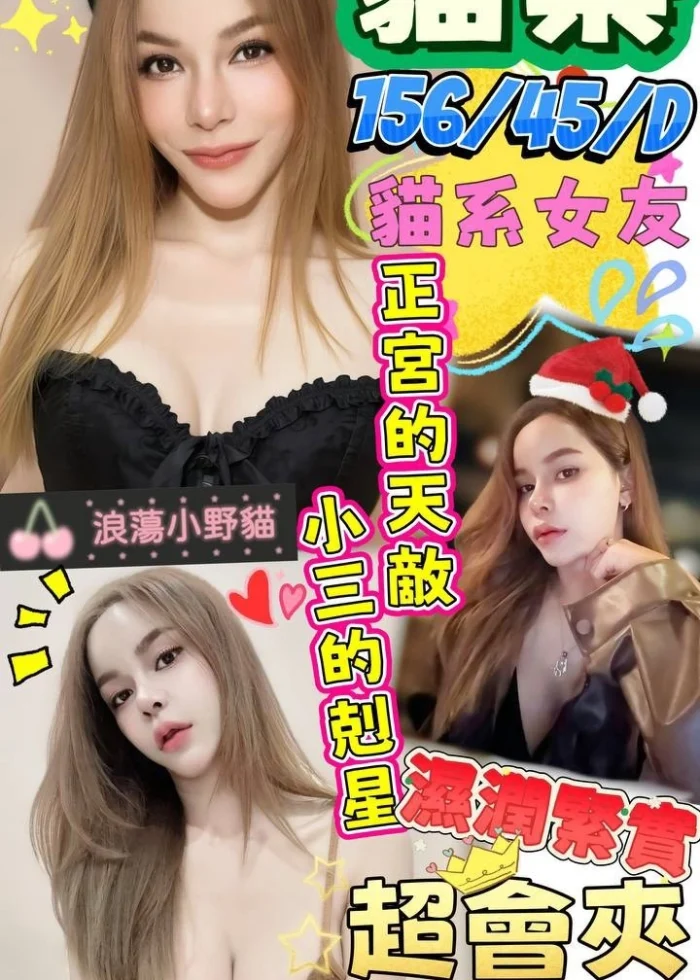 澎湖定點茶-貓樂