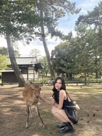 台北定點茶-楊超越:圖片 9