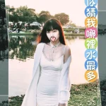 台中外送茶-曉波