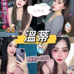 南投定點茶-溫蒂