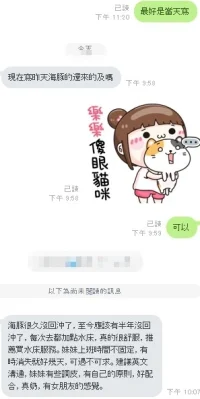 新竹定點茶-海豚：圖片 11