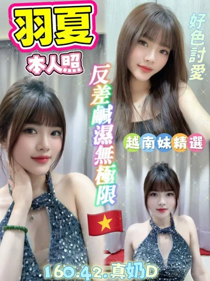 雲林定點茶-羽夏