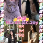 桃園定點茶-許貓