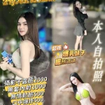 桃園定點茶-白富美