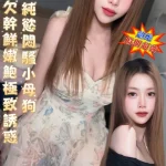 台南定點茶-小迪