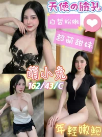 台南定點茶-萌小兔