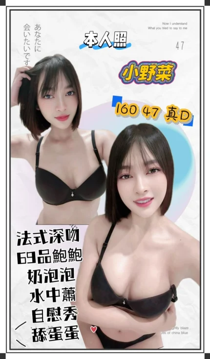 台北定點茶-小野菜