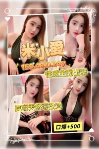 桃園定點茶-米小愛