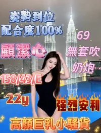 嘉義定點茶-顧潔心：圖片 4