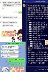 台南定點茶-小花葵：圖片 11