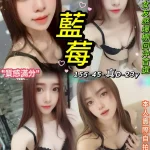 台北定點茶-藍莓