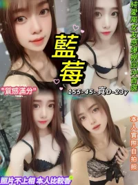 台北定點茶-藍莓