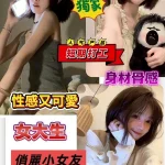 台南定點茶-捲心酥