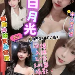 新竹定點茶-白月光