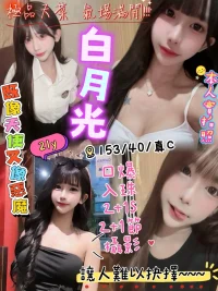 新竹定點茶-白月光