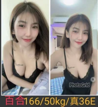 南投定點茶-百合