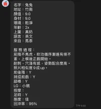 苗栗定點茶-兔兔：圖片 8