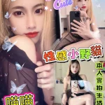 新北定點茶-喵喵