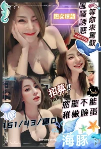 新竹定點茶-海豚