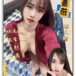 新北定點茶-薔薇