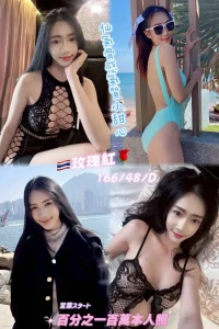 新北定點茶-玫瑰紅