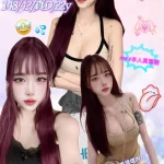 新北定點茶-月霄