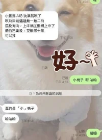 嘉義定點茶-小桃子：圖片 7