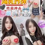 南投定點茶-佳景