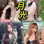 台北定點茶-月光