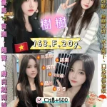 台北定點茶-樹樹