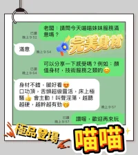 台中定點茶-喵喵：圖片 5