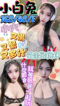 屏東定點茶-小白兔