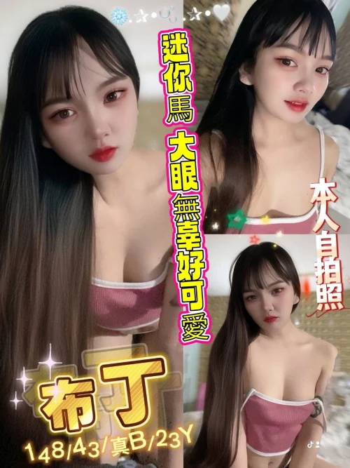 新北定點茶-布丁