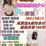 苗栗定點茶-小精靈