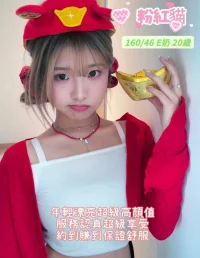 台南定點茶-粉紅貓