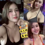 台中定點茶-黛西