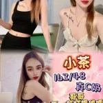 新北定點茶-小茶