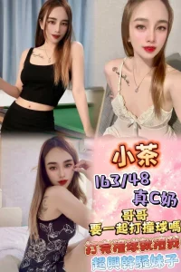 新北定點茶-小茶