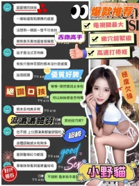 台中定點茶-小野貓：圖片 3