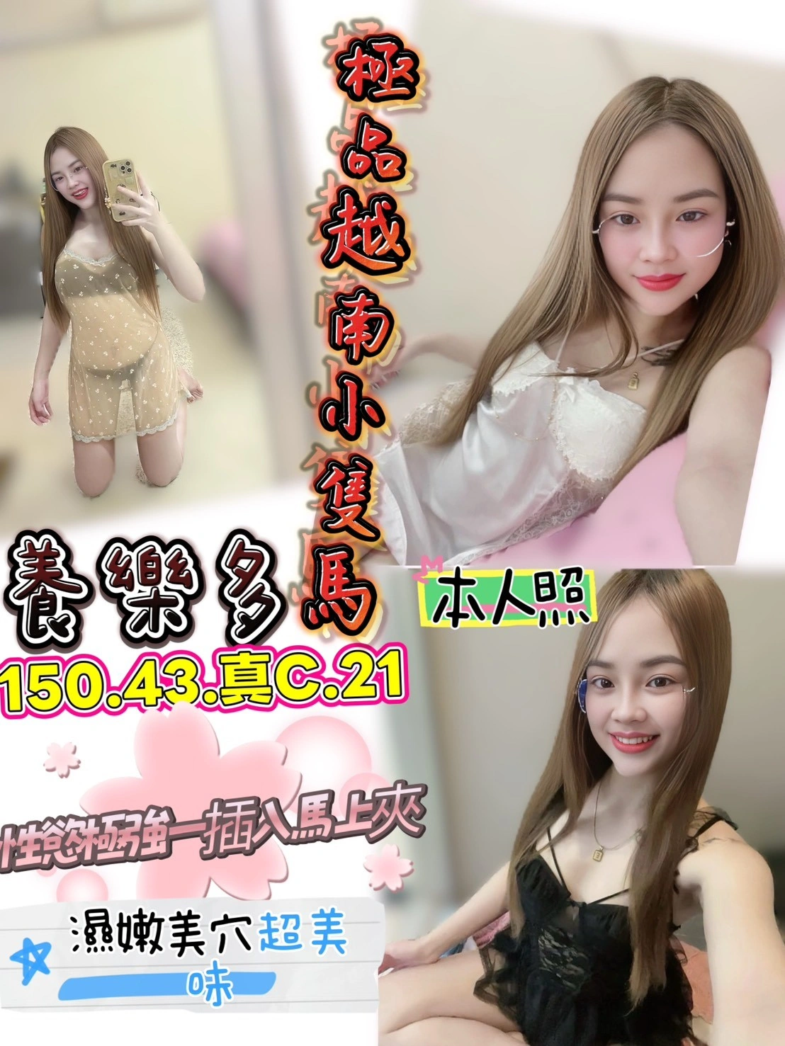 JV5shcoQvOzPL70w 新竹定點茶-養樂多:圖片 1