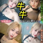 台北定點茶-牛牛