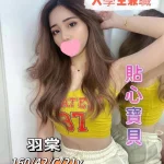 台中外送茶-羽棠