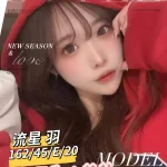 台南外送茶-流星羽