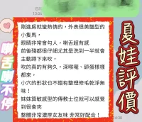 台南定點茶-夏娃：圖片 2