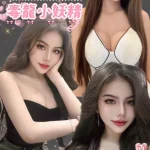 台北定點茶-波綺